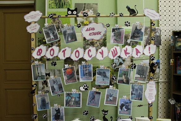 В библиотеке на Крутицкой проходит кошачья фотосушка